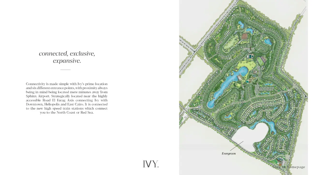 ivy-new-zayed-compound.jpg